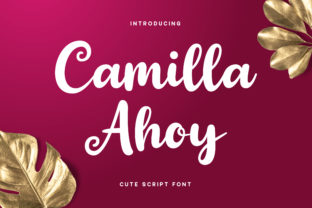 Camilla Ahoy Font: A Web Designer’s Layout Review