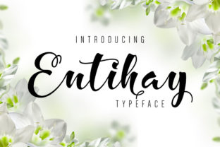Enhance Your Web Design with Entihay Font