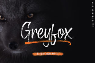 Greyfox Font: Elevating Campaign Visuals with Brush Style