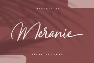 Meranie Font Review for Web Design and Digital Branding