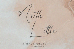 North Little: A Designer’s Review for Real Projects