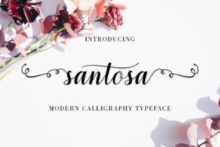 Transform Your Brand with Santosa: A Premium Script Font